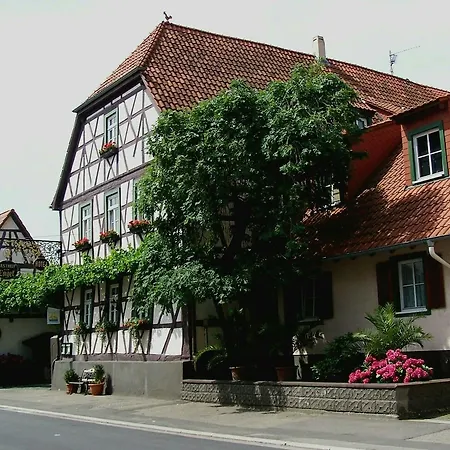 Zum Engel In Speyer - Römerberg *