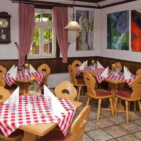 Zum Engel In Speyer - Römerberg Hotel *